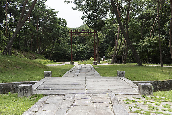 포토 JPG 주간 나무 한국전통 여행 유적지 풍경 사람없음 야외 여름 관광지 세계문화유산 문화재 역사 한국사 조선시대 어로 영녕릉 조선왕릉 홍살문 효종릉 신로 국내포토 여주시 자연요소 식물 전통 계절 고건축 한국 전통문 경기도 여주 왕릉 파일형식 여주_지역 향어로