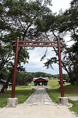 포토 JPG 주간 나무 한국전통 여행 유적지 풍경 사람없음 야외 여름 관광지 세계문화유산 문화재 역사 한국사 조선시대 영녕릉 조선왕릉 홍살문 효종릉 국내포토 여주시 자연요소 식물 전통 계절 고건축 한국 전통문 경기도 여주 왕릉 파일형식 여주_지역