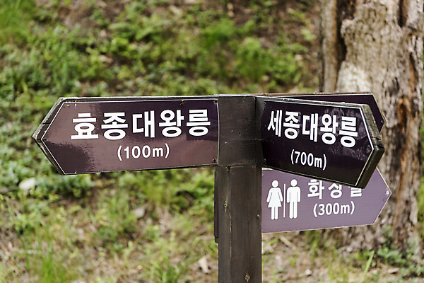 포토 JPG 주간 한국전통 화살표 여행 유적지 풍경 사람없음 야외 여름 관광지 세계문화유산 문화재 표지판 역사 한국사 조선시대 위치 영녕릉 조선왕릉 세종대왕릉 효종릉 국내포토 여주시 자연요소 전통 계절 고건축 한국 알림판 경기도 여주 왕릉 파일형식 여주_지역