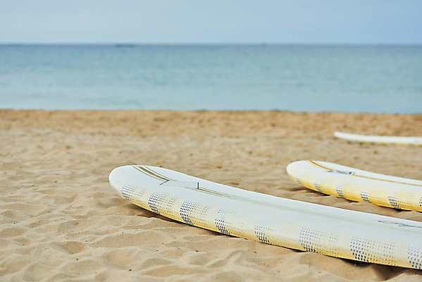 포토 JPG 주간 라이프스타일 스포츠 바다 휴가 취미 해변 사람없음 야외 아웃포커스 여름 레포츠 모래사장 운동 서핑보드 세개 서핑 익스트림스포츠 양양군 하조대해수욕장 액티비티 국내포토 자연요소 계절 레저 촬영기법 건강 3 생활 수상스포츠 보드_스포츠 해수욕장 강원도 양양 파일형식