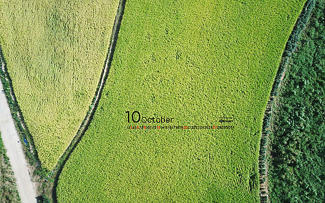 JPG 월페이퍼 바탕화면 10월 날짜 파일형식