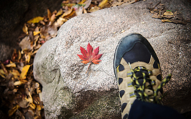 JPG 월페이퍼 바탕화면 10월 날짜 파일형식