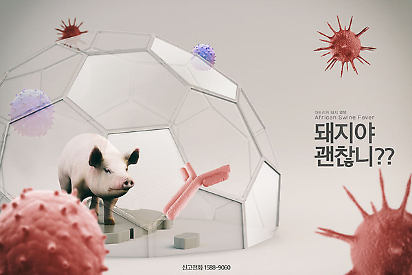 PSD 편집이미지 한마리 포스터 사람없음 3D 가축 돼지 바이러스 질병 사회이슈 디지털합성 면역력 신고 구제역 아프리카돼지열병 가축전염병 돼지전염병 이미지편집 편집3D 동물 1 컨셉 포유류 의학 전염병 파일형식