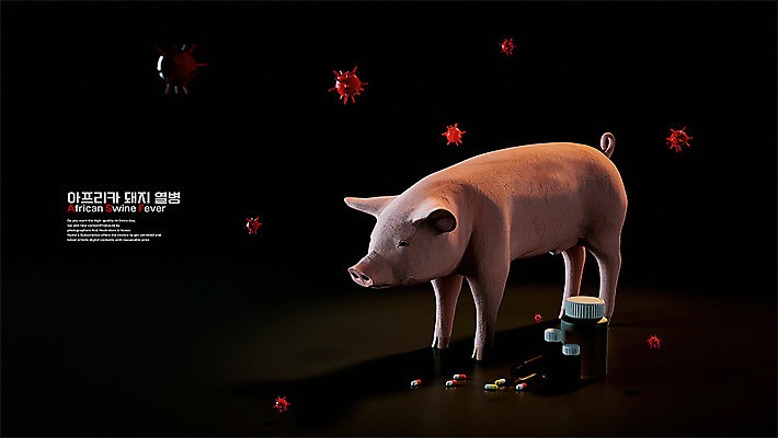 PSD 편집이미지 한마리 포스터 사람없음 약 3D 가축 돼지 바이러스 질병 사회이슈 디지털합성 면역력 신고 구제역 아프리카돼지열병 가축전염병 돼지전염병 이미지편집 편집3D 동물 1 컨셉 포유류 의학 전염병 파일형식