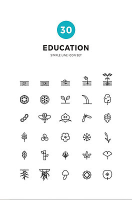 나무 식물 아이콘 교육 열매 꽃 줄기 과학 잎 단풍나무 단면 나뭇잎 해바라기 콩 씨앗 사람없음 세트 새싹 버섯 구조물 대나무 라인아이콘 뿌리 솔잎 민들레홀씨 떡잎 에듀 에듀케이션 열대잎 스쿨팩 2D아이콘 AI파일 건축 단풍 곡류 민들레 파일형식 벡터