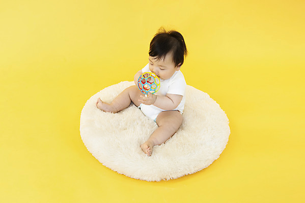 포토 JPG 스튜디오촬영 전신 남자 공 생명 실내 방석 한명 들기 사람 앉기 앞모습 장난감 귀여움 아기용품 한국인 육아 성장 아기 보호 즐거움 기저귀 노란배경 천진난만 남자아기한명만 국내포토 1 감정 뷰포인트 백그라운드 컨셉 모션 동양인 내부 노란색 오브젝트 남자한명만 남자아기만 파일형식