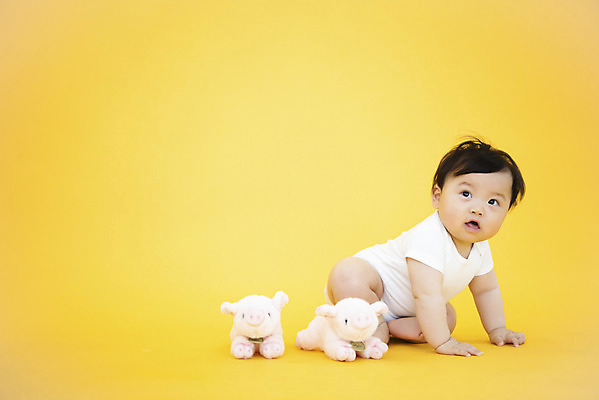 포토 JPG 스튜디오촬영 전신 응시 남자 생명 실내 한명 사람 앉기 옆모습 귀여움 한국인 육아 성장 아기 보호 즐거움 기저귀 노란배경 돼지인형 천진난만 남자아기한명만 국내포토 1 시선 감정 인형 뷰포인트 백그라운드 컨셉 모션 동양인 내부 노란색 아기용품 남자한명만 남자아기만 파일형식