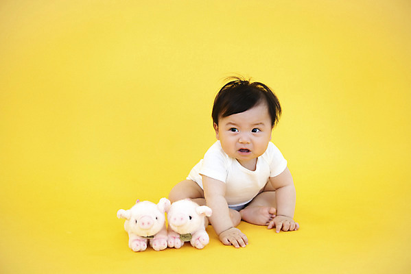 포토 JPG 스튜디오촬영 전신 응시 남자 생명 실내 한명 사람 앉기 앞모습 귀여움 한국인 육아 성장 아기 보호 즐거움 기저귀 노란배경 돼지인형 천진난만 남자아기한명만 국내포토 1 시선 감정 인형 뷰포인트 백그라운드 컨셉 모션 동양인 내부 노란색 아기용품 남자한명만 남자아기만 파일형식