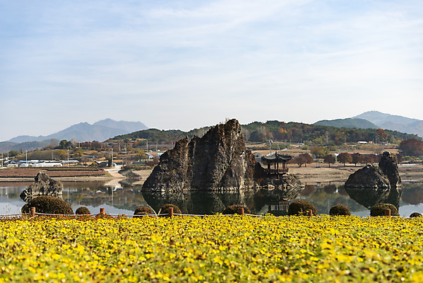 포토 JPG 주간 구름 여행 꽃밭 자연 하늘 풍경 사람없음 야외 강 가을풍경 문화재 가을 바위 가을여행 국내여행 단양 도담삼봉 국내포토 자연요소 계절 꽃 관광지 돌_바위 생태계 충청북도 파일형식 가을_계절