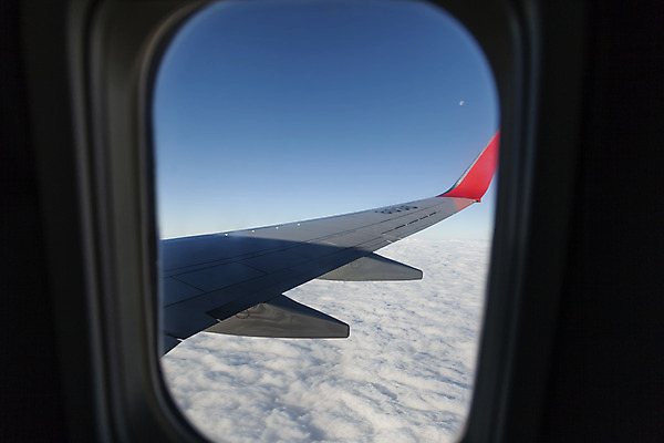 포토 JPG 주간 구름 여행 창문 자연 하늘 비행기 풍경 사람없음 야외 제주도 가을풍경 가을 비행 비행기날개 가을여행 국내여행 비행기내부 국내포토 자연요소 계절 항공교통 대중교통 한국 내부 생태계 파일형식 가을_계절