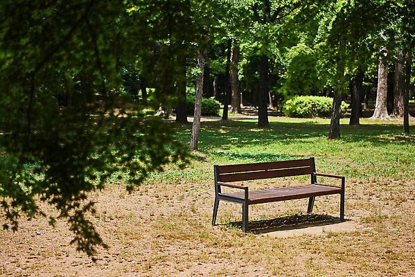 포토 JPG 주간 나무 공원 여유 벤치 휴식 사람없음 야외 힐링 조용 휴식처 국내포토 자연요소 식물 공공시설 감정 컨셉 의자 파일형식