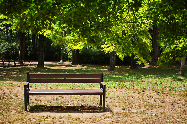 포토 JPG 주간 나무 공원 여유 벤치 휴식 사람없음 야외 힐링 조용 휴식처 국내포토 자연요소 식물 공공시설 감정 컨셉 의자 파일형식