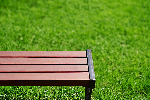 포토 JPG 주간 공원 여유 벤치 휴식 잔디 사람없음 야외 힐링 조용 휴식처 국내포토 자연요소 식물 공공시설 감정 컨셉 의자 파일형식