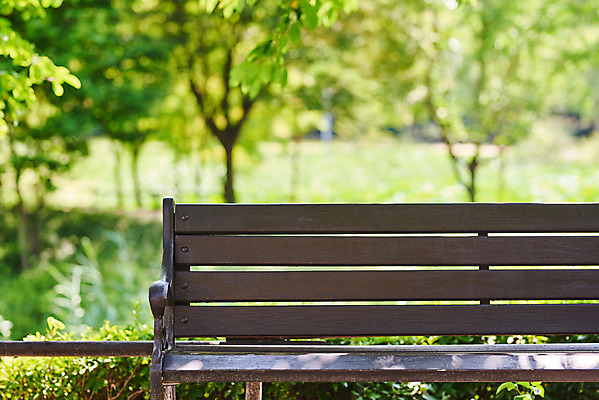 포토 JPG 주간 나무 공원 여유 벤치 휴식 사람없음 야외 아웃포커스 힐링 조용 휴식처 국내포토 자연요소 식물 공공시설 감정 컨셉 의자 촬영기법 파일형식