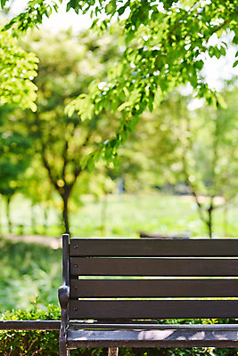 포토 JPG 주간 나무 공원 여유 벤치 휴식 사람없음 야외 아웃포커스 힐링 조용 휴식처 국내포토 자연요소 식물 공공시설 감정 컨셉 의자 촬영기법 파일형식