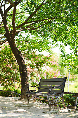 포토 JPG 주간 나무 공원 여유 벤치 휴식 사람없음 야외 힐링 조용 휴식처 국내포토 자연요소 식물 공공시설 감정 컨셉 의자 파일형식