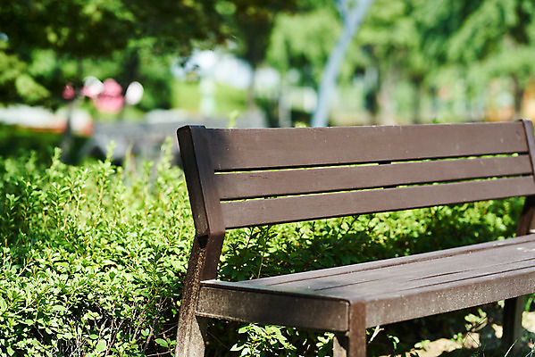 포토 JPG 주간 공원 여유 벤치 휴식 사람없음 야외 풀 힐링 조용 휴식처 국내포토 자연요소 식물 공공시설 감정 컨셉 의자 파일형식