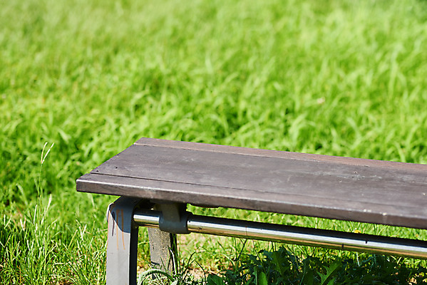 포토 JPG 주간 공원 여유 벤치 휴식 잔디 사람없음 야외 힐링 조용 휴식처 국내포토 자연요소 식물 공공시설 감정 컨셉 의자 파일형식