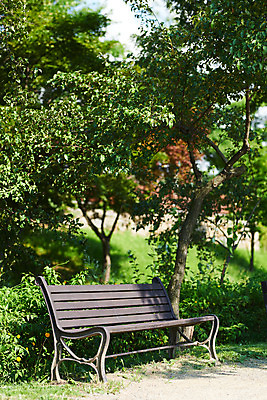 포토 JPG 주간 나무 공원 여유 벤치 휴식 사람없음 야외 힐링 조용 휴식처 국내포토 자연요소 식물 공공시설 감정 컨셉 의자 파일형식