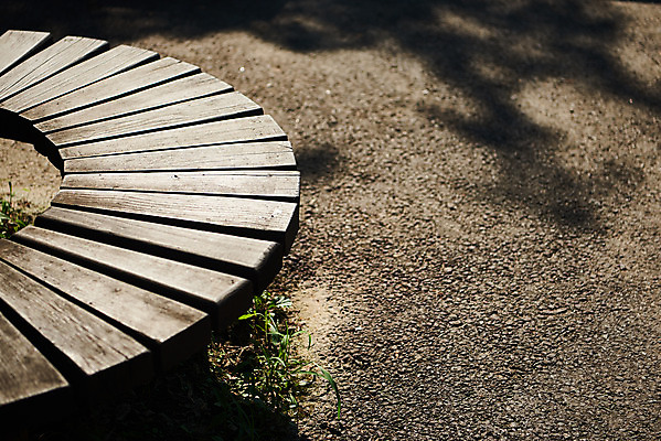 포토 JPG 주간 공원 여유 벤치 휴식 사람없음 야외 힐링 조용 휴식처 국내포토 자연요소 공공시설 감정 컨셉 의자 파일형식