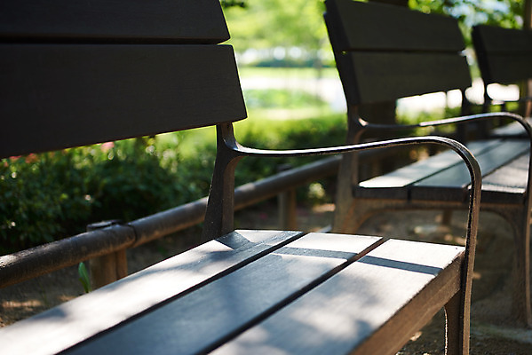 포토 JPG 주간 공원 여유 벤치 휴식 근접촬영 사람없음 야외 아웃포커스 힐링 조용 휴식처 국내포토 자연요소 공공시설 감정 뷰포인트 컨셉 의자 촬영기법 파일형식