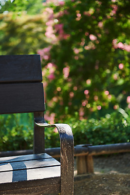 포토 JPG 주간 공원 여유 벤치 휴식 근접촬영 사람없음 야외 아웃포커스 힐링 조용 휴식처 국내포토 자연요소 공공시설 감정 뷰포인트 컨셉 의자 촬영기법 파일형식