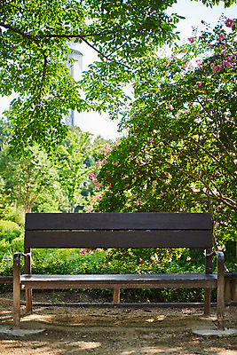 포토 JPG 주간 나무 공원 꽃 여유 벤치 휴식 사람없음 야외 힐링 조용 휴식처 국내포토 자연요소 식물 공공시설 감정 컨셉 의자 파일형식
