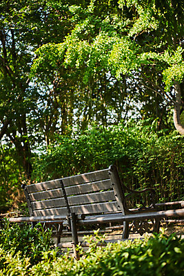 포토 JPG 주간 나무 공원 여유 벤치 휴식 사람없음 야외 힐링 조용 휴식처 국내포토 자연요소 식물 공공시설 감정 컨셉 의자 파일형식