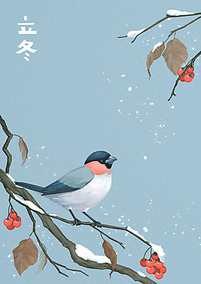 PSD 식물 한마리 열매 하늘색 낙엽 일러스트 자연 조류 수채화 사람없음 한자 나뭇가지 눈 겨울꽃 철새 입동 풍경화 겨울풍경 멋쟁이새 국내일러스트 자연요소 나무 동물 문자 1 꽃 잎 겨울 날씨 풍경 파란색 절기 그림 생태계 파일형식