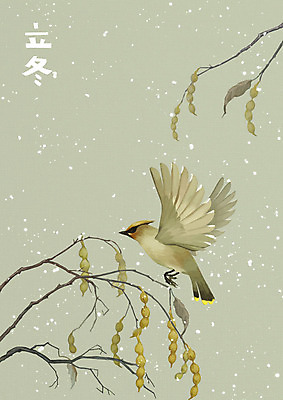 PSD 식물 한마리 열매 낙엽 일러스트 자연 조류 수채화 사람없음 연두색 한자 눈 겨울꽃 철새 입동 풍경화 회화나무 겨울풍경 국내일러스트 자연요소 나무 동물 문자 1 꽃 잎 겨울 날씨 풍경 초록색 절기 그림 생태계 파일형식