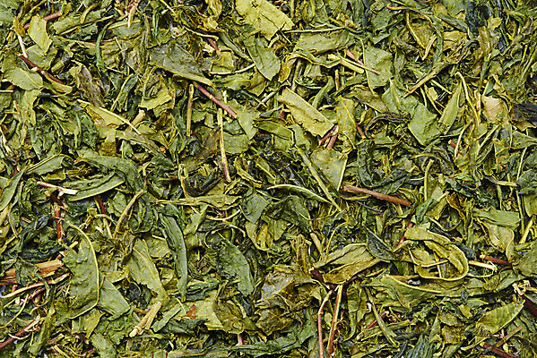 포토 JPG 스튜디오촬영 동양문화 티타임 건조 실내 누끼 사람없음 초록색 하이앵글 차 녹차 오브젝트 유기농 찻잎 말차 플랫레이 디톡스 국내포토 웰빙 문화 음료 뷰포인트 컬러 휴식 건강 내부 차_음료 플랫 파일형식