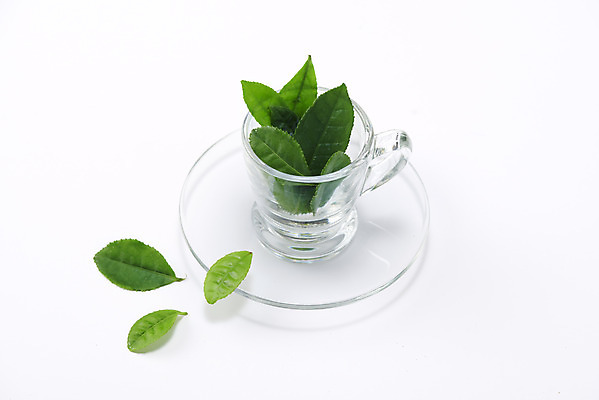 포토 JPG 스튜디오촬영 동양문화 재료 티타임 실내 누끼 사람없음 초록색 차 찻잔 녹차 오브젝트 흰배경 유기농 녹차잎 말차 디톡스 국내포토 웰빙 문화 음료 컬러 백그라운드 휴식 잔 건강 내부 차_음료 흰색 찻잎 파일형식