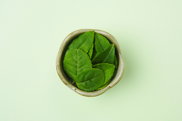 포토 JPG 스튜디오촬영 동양문화 티타임 실내 누끼 사람없음 초록색 하이앵글 차 찻잔 녹차 오브젝트 유기농 녹차잎 말차 플랫레이 디톡스 초록배경 국내포토 웰빙 문화 음료 뷰포인트 컬러 백그라운드 휴식 잔 건강 내부 차_음료 플랫 찻잎 파일형식