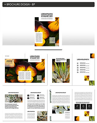 식물 템플릿 꽃 ZIP 리플렛 선인장 사람 팜플렛 사람없음 라이프 컬러풀 다육식물 인디자인 INDD 공기정화식물 이미지템플릿 컬러 생활 파일형식