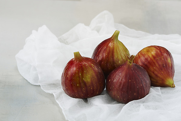 포토 JPG 스튜디오촬영 과일 자연 회색배경 실내 건강 누끼 사람없음 농작물 여러개 신선 천 오브젝트 유기농 예방 무화과 변비예방 국내포토 웰빙 다수 백그라운드 농업 내부 회색 직물 생태계 변비 파일형식