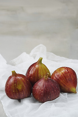 포토 JPG 스튜디오촬영 과일 자연 회색배경 실내 건강 누끼 사람없음 농작물 여러개 신선 천 오브젝트 유기농 예방 무화과 변비예방 국내포토 웰빙 다수 백그라운드 농업 내부 회색 직물 생태계 변비 파일형식