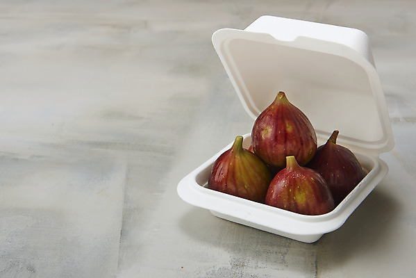 포토 JPG 스튜디오촬영 과일 자연 회색배경 실내 건강 누끼 사람없음 농작물 여러개 신선 플라스틱 오브젝트 유기농 예방 무화과 포장용기 변비예방 국내포토 웰빙 다수 백그라운드 농업 재질 내부 회색 생태계 변비 포장재료 파일형식