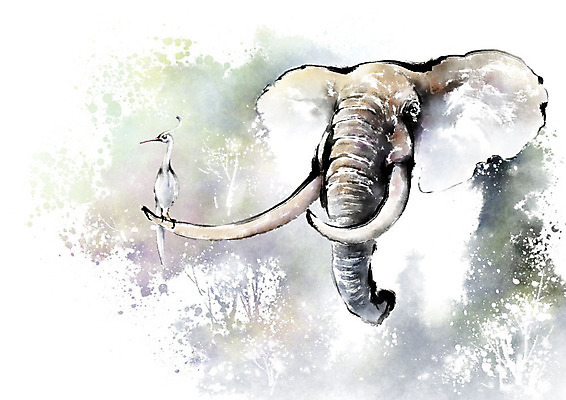 PSD 나무 식물 동물 일러스트 캘리그라피 자연 조류 붓터치 코끼리 풍경 사람없음 보호 숲 생태계 번짐 상아 국내일러스트 컨셉 포유류 파일형식 효과