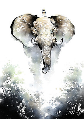 PSD 식물 동물 일러스트 캘리그라피 자연 조류 붓터치 코끼리 풍경 사람없음 보호 숲 생태계 번짐 상아 국내일러스트 컨셉 포유류 파일형식 효과