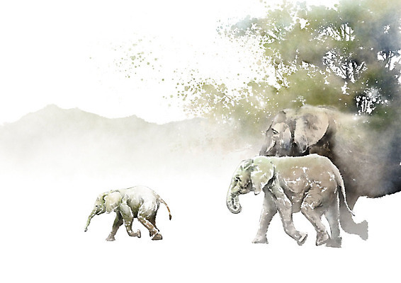 PSD 나무 식물 동물 무료이미지 일러스트 캘리그라피 자연 붓터치 코끼리 산 세마리 풍경 사람없음 보호 생태계 번짐 국내일러스트 컨셉 포유류 3 파일형식 효과