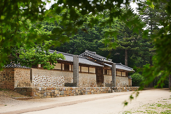 포토 JPG 주간 나무 한국전통 여행 유적지 한옥 기와집 풍경 사람없음 야외 여름 관광지 세계문화유산 문화재 역사 한국사 조선시대 재실 조선왕릉 파주 파주삼릉 국내포토 자연요소 식물 전통 계절 고건축 한국 경기도 왕릉 파일형식