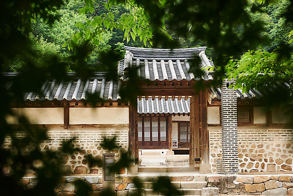 포토 JPG 주간 나무 한국전통 여행 유적지 나뭇잎 한옥 기와집 풍경 사람없음 야외 아웃포커스 여름 관광지 세계문화유산 문화재 역사 한국사 조선시대 재실 조선왕릉 파주 파주삼릉 국내포토 자연요소 식물 전통 계절 고건축 잎 한국 촬영기법 경기도 왕릉 파일형식