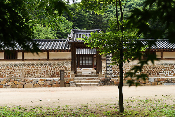 포토 JPG 주간 나무 한국전통 여행 유적지 한옥 기와집 풍경 사람없음 야외 아웃포커스 여름 관광지 세계문화유산 문화재 역사 한국사 조선시대 재실 조선왕릉 파주 파주삼릉 국내포토 자연요소 식물 전통 계절 고건축 한국 촬영기법 경기도 왕릉 파일형식
