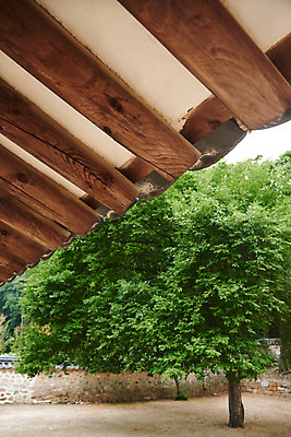 포토 JPG 주간 나무 한국전통 로우앵글 여행 유적지 한옥 기와집 풍경 사람없음 야외 여름 관광지 세계문화유산 문화재 역사 한국사 조선시대 재실 조선왕릉 파주 파주삼릉 국내포토 자연요소 식물 전통 계절 뷰포인트 고건축 한국 경기도 왕릉 파일형식