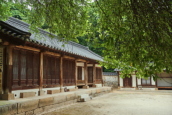 포토 JPG 주간 나무 한국전통 여행 유적지 한옥 기와집 풍경 사람없음 야외 여름 관광지 세계문화유산 문화재 역사 한국사 조선시대 재실 조선왕릉 파주 파주삼릉 국내포토 자연요소 식물 전통 계절 고건축 한국 경기도 왕릉 파일형식