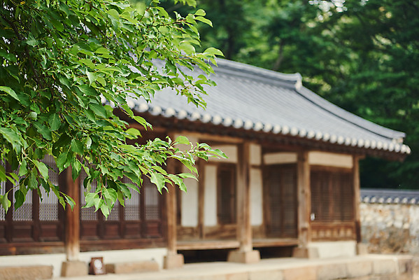 포토 JPG 주간 한국전통 여행 유적지 나뭇잎 한옥 기와집 풍경 사람없음 야외 아웃포커스 여름 관광지 세계문화유산 문화재 역사 한국사 조선시대 재실 조선왕릉 파주 파주삼릉 국내포토 자연요소 전통 계절 고건축 잎 한국 촬영기법 경기도 왕릉 파일형식