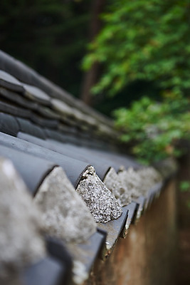 포토 JPG 주간 한국전통 여행 유적지 한옥 기와 기와집 풍경 근접촬영 사람없음 야외 아웃포커스 여름 관광지 세계문화유산 문화재 역사 한국사 조선시대 재실 조선왕릉 파주 파주삼릉 국내포토 자연요소 전통 계절 뷰포인트 고건축 한국 촬영기법 경기도 왕릉 파일형식