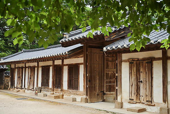 포토 JPG 주간 한국전통 여행 유적지 나뭇잎 한옥 기와집 풍경 사람없음 야외 여름 관광지 세계문화유산 문화재 역사 한국사 조선시대 재실 조선왕릉 파주 파주삼릉 국내포토 자연요소 전통 계절 고건축 잎 한국 경기도 왕릉 파일형식