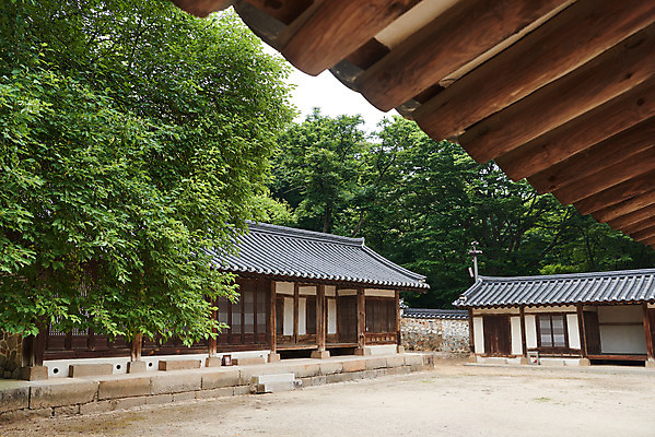 포토 JPG 주간 나무 한국전통 여행 유적지 지붕 한옥 기와집 풍경 사람없음 야외 여름 관광지 세계문화유산 문화재 역사 한국사 조선시대 재실 조선왕릉 파주 파주삼릉 국내포토 자연요소 식물 전통 계절 고건축 한국 경기도 왕릉 파일형식