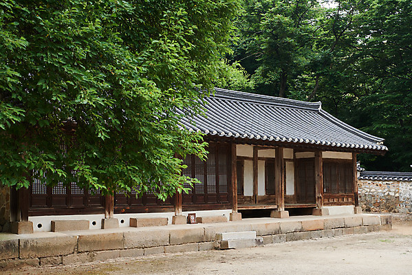 포토 JPG 주간 나무 한국전통 여행 유적지 한옥 기와집 풍경 사람없음 야외 여름 관광지 세계문화유산 문화재 역사 한국사 조선시대 재실 조선왕릉 파주 파주삼릉 국내포토 자연요소 식물 전통 계절 고건축 한국 경기도 왕릉 파일형식